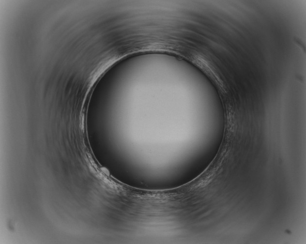 X0000100960900200806241524