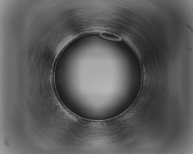 X0000100960901200806241524