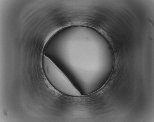 X0000100960904200806241524
