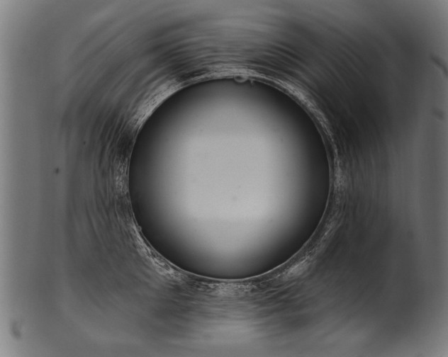 X0000100960905200806241524