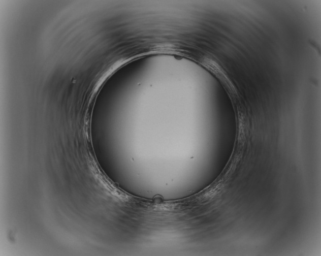 X0000100960908200806241524