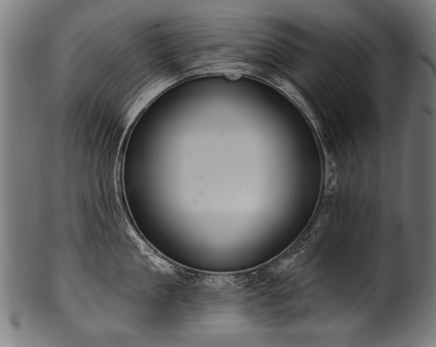 X0000100960909200806241524