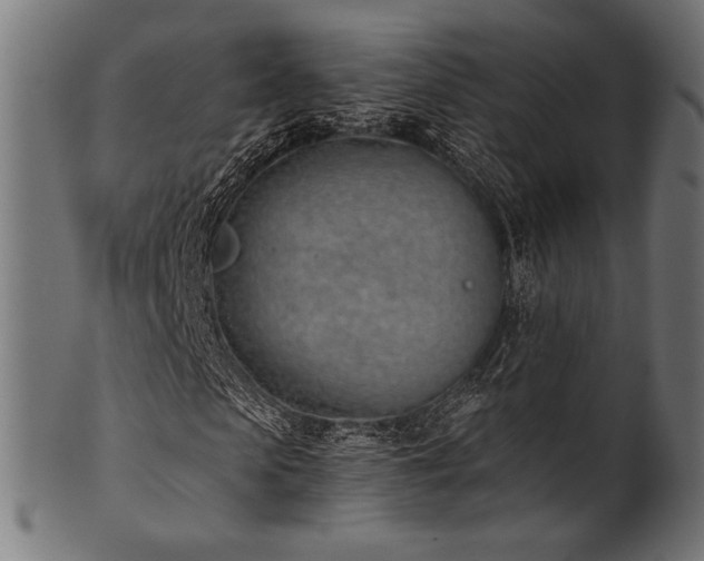 X0000100960913200806241523