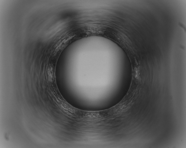 X0000100960915200806241523