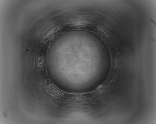 X0000100960917200806241523