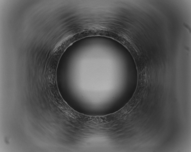 X0000100960919200806241523