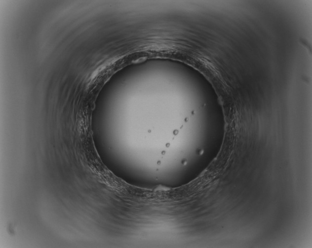 X0000100960920200806241523