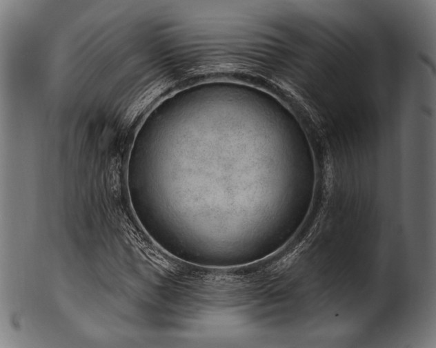 X0000100960921200806241524