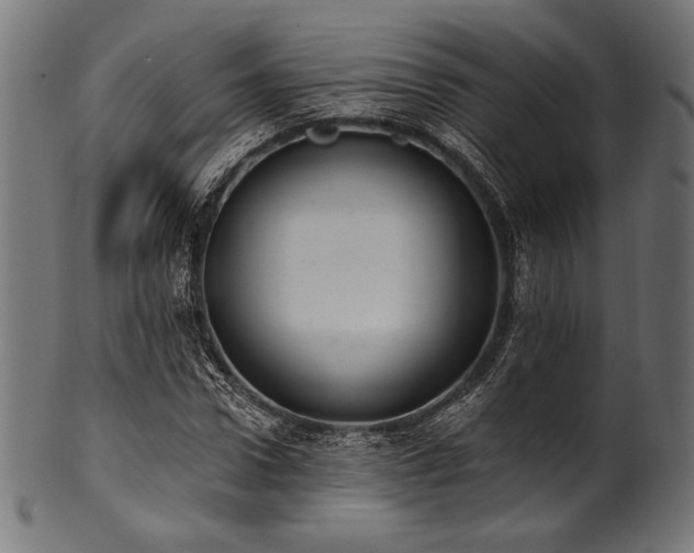 X0000100960922200806241524