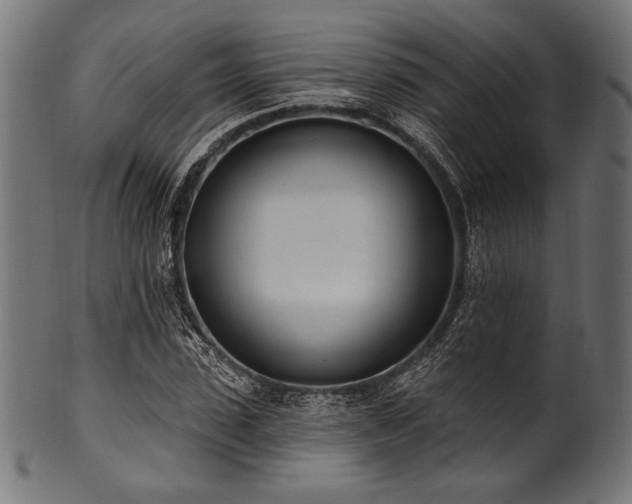 X0000100960923200806241524