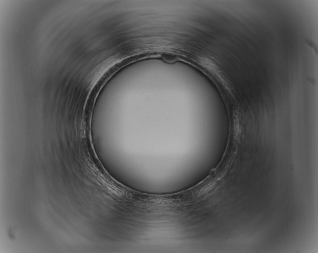 X0000100960924200806241524