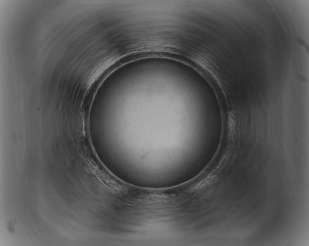 X0000100960925200806241524