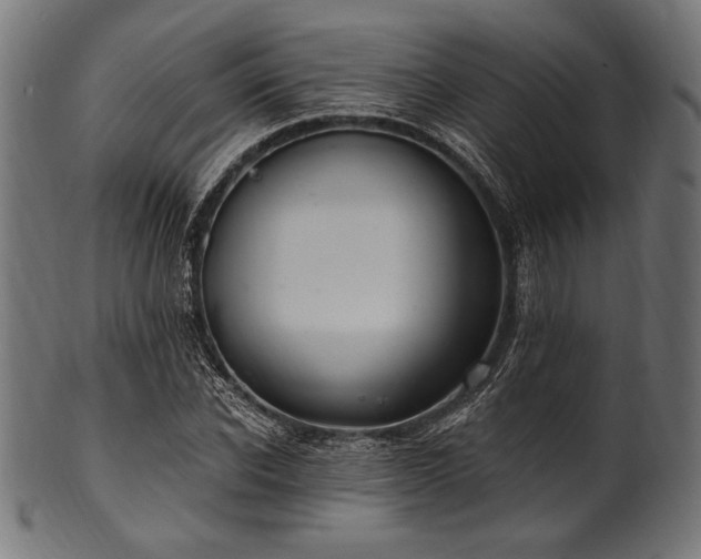 X0000100960926200806241524