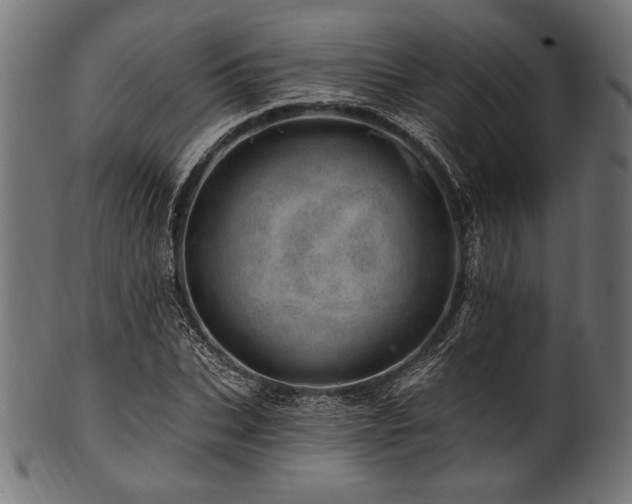 X0000100960927200806241524
