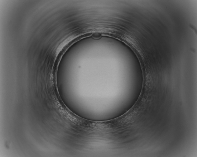 X0000100960928200806241524