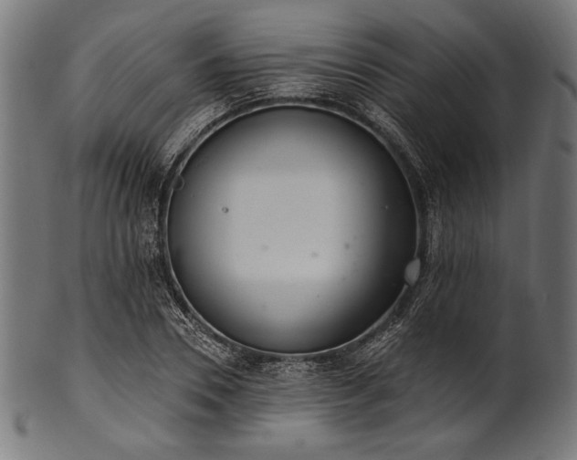 X0000100960930200806241524