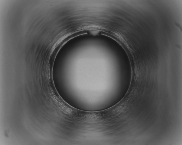 X0000100960931200806241524