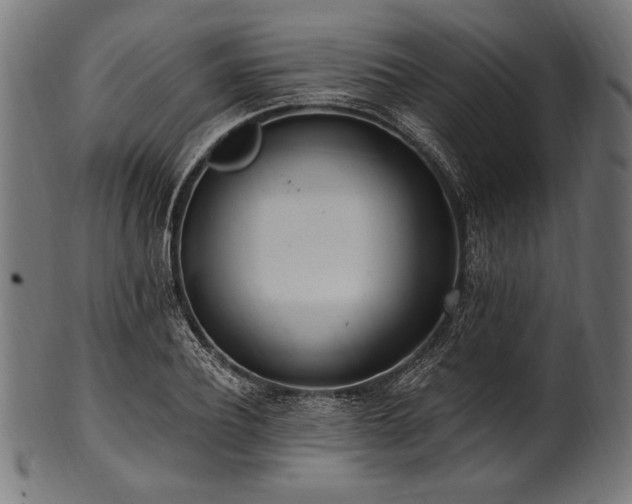 X0000100960932200806241524