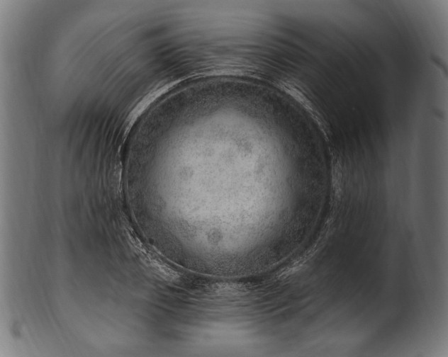 X0000100960933200806241524