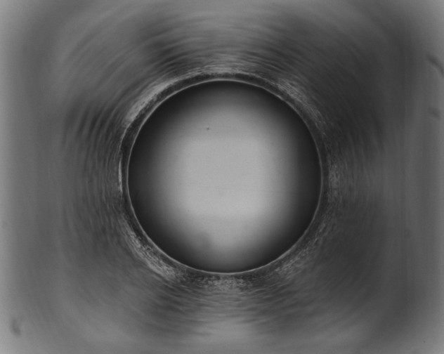 X0000100960934200806241524