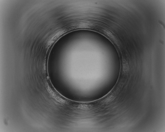 X0000100960938200806241524