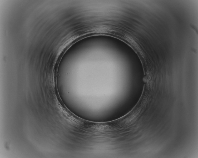 X0000100960939200806241524