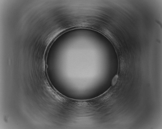 X0000100960940200806241524