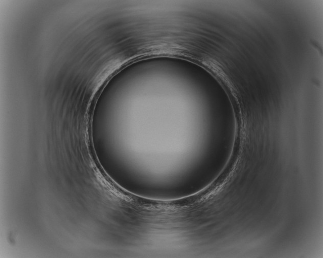 X0000100960941200806241524