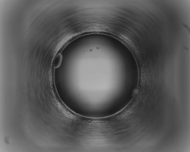 X0000100960942200806241524