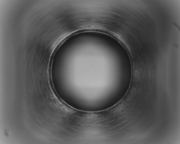 X0000100960943200806241524
