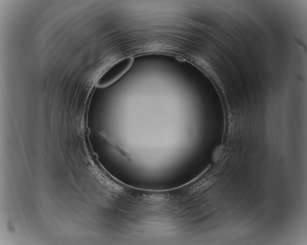 X0000100960946200806241524