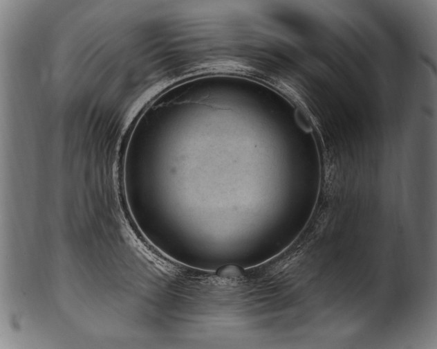 X0000100960947200806241524