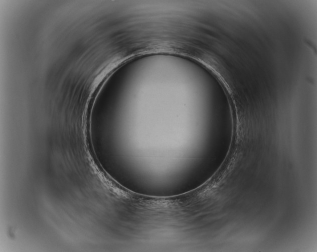 X0000100960949200806241524