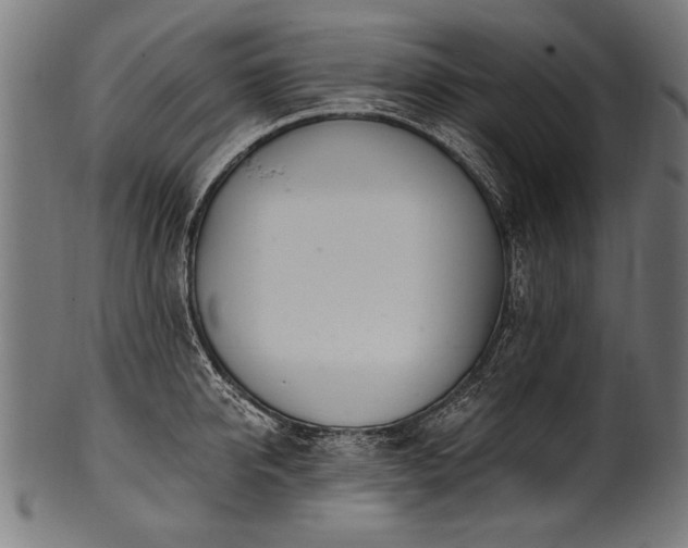 X0000100960950200806241524