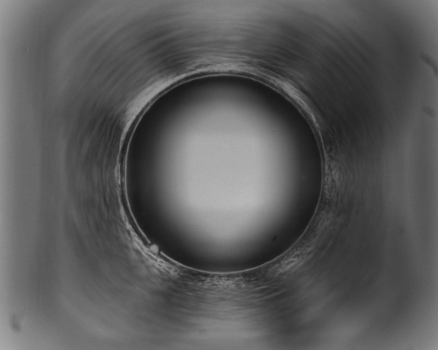 X0000100960951200806241524