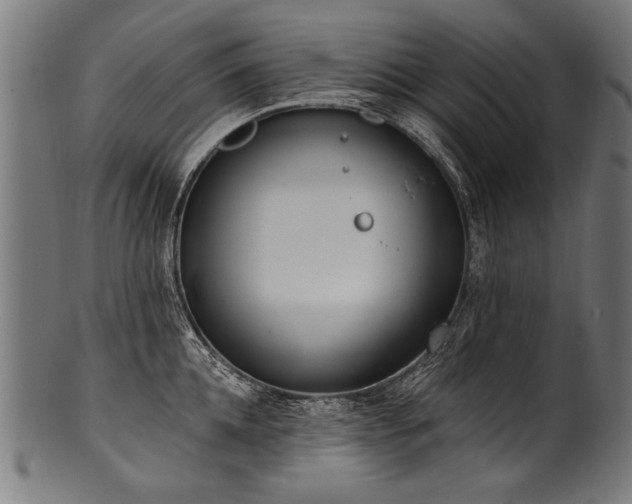 X0000100960952200806241524