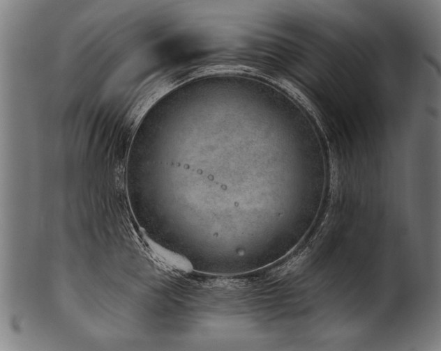 X0000100960953200806241524