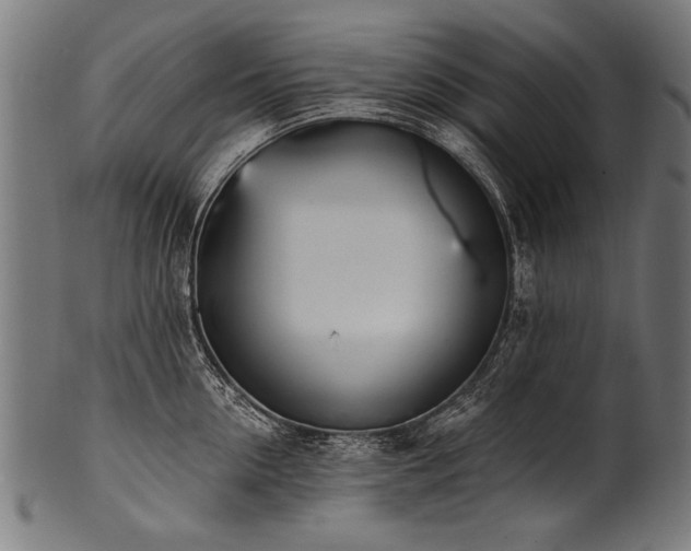X0000100960954200806241524