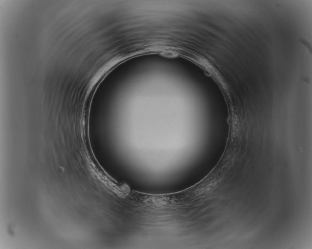 X0000100960955200806241524