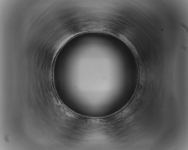 X0000100960956200806241524