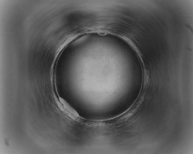 X0000100960957200806241524