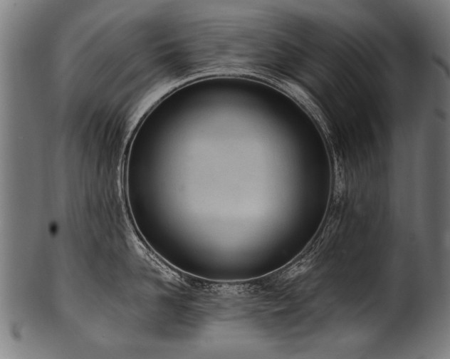 X0000100960958200806241524