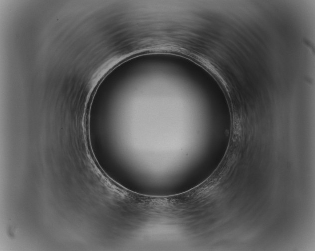 X0000100960959200806241524