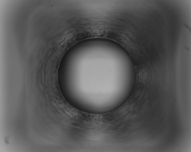 X0000100960961200806241523