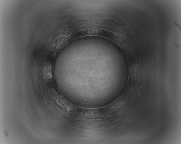 X0000100960962200806241523