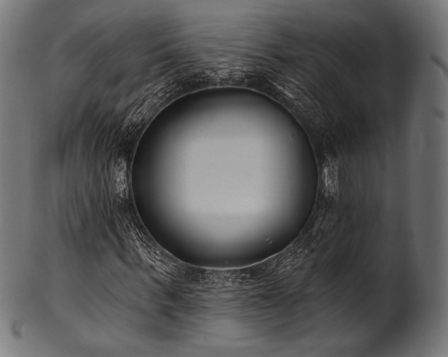 X0000100960963200806241523