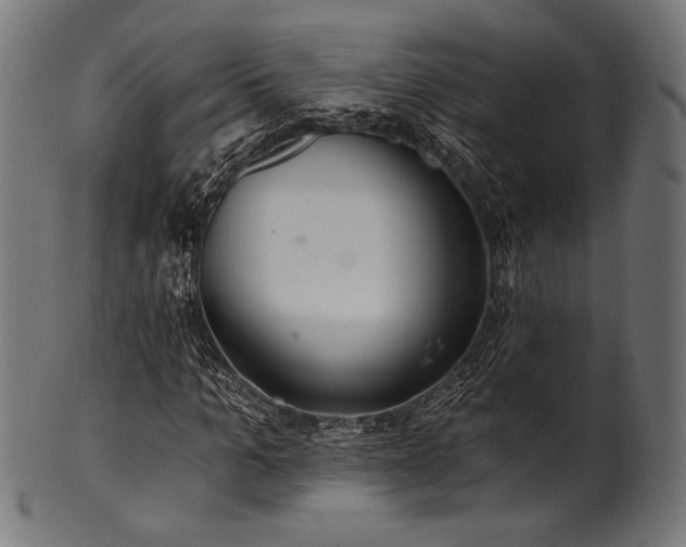 X0000100960965200806241523