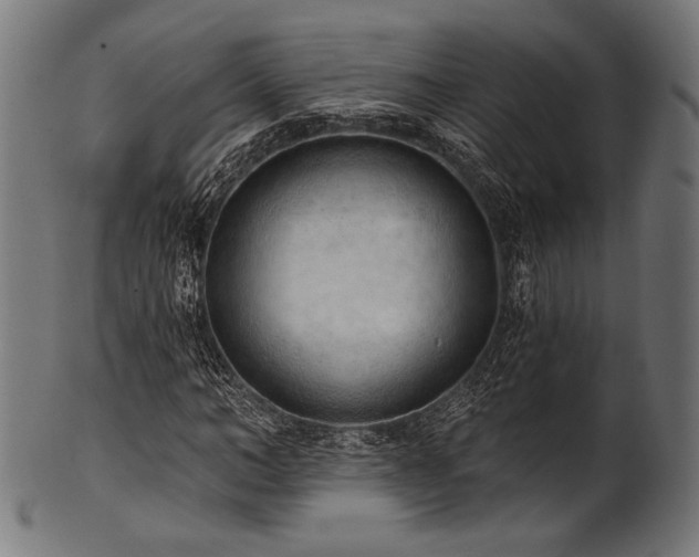 X0000100960966200806241523