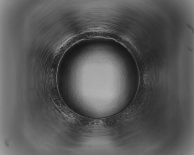 X0000100960968200806241523