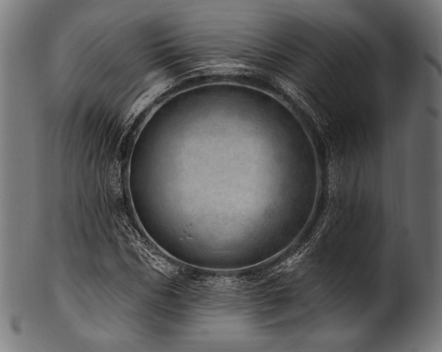 X0000100960970200806241523